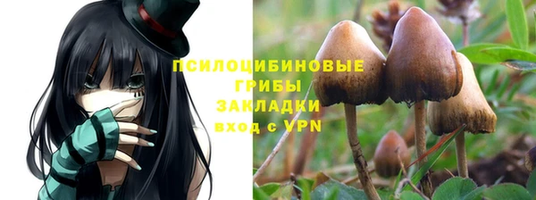 твердый Покровск