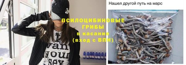 твердый Покровск